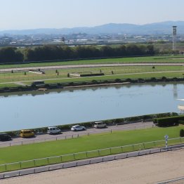 【京都ハイジャンプ】６頭が挑む 上って降りる京都しかない〝難関〟台形障害