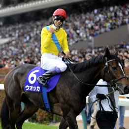 牝馬限定ＧⅠで買えるジョッキーは誰だ！？ ルメール、武豊、川田──。