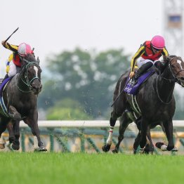 牝馬限定ＧⅠで買えるジョッキーは誰だ！？ ルメール、武豊、川田──。