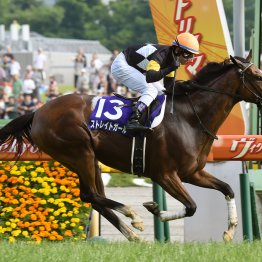 【ヴィクトリマイル】データ作戦　穴馬好走の２つのパターン