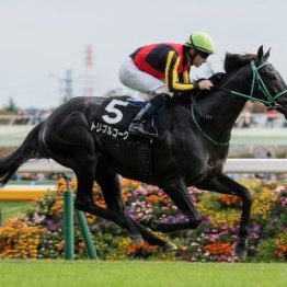【市川の土曜競馬コラム・六社Ｓ】