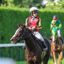 【飯島の土曜競馬コラム・新潟６Ｒ】