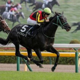 【新居の土曜競馬コラム・六社Ｓ】