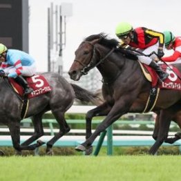 【武田の土曜競馬コラム・新潟大賞典】