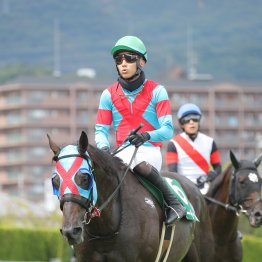 【大阪本紙・弘中の土曜京都８Ｒ】