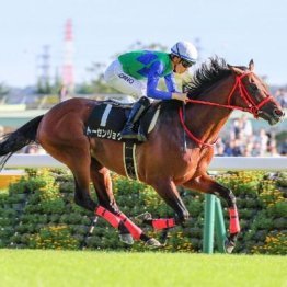 【新潟本紙・市川の新潟大賞典】