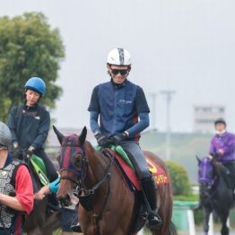【ヴィクトリアマイル】出走全馬の特選情報