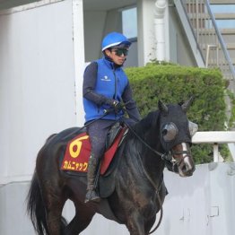 【ヴィクトリアマイル】出走全馬の特選情報