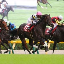 【市川の日曜競馬コラム・ヴィクトリアマイル】