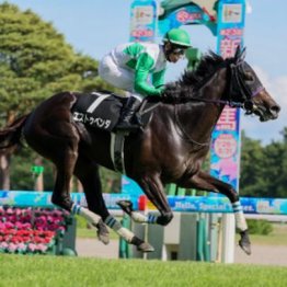 【新潟本紙・市川の日曜新潟11Ｒ】