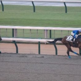 【レスキュー隊の日曜競馬コラム・東京12Ｒ】