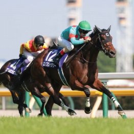 【ヴィクトリマイル】１番人気エンブロイダリーがGⅠ３勝目