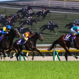 高速東京マイルにマッチしたエンブロイダリーの血統構成