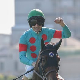 高速東京マイルにマッチしたエンブロイダリーの血統構成