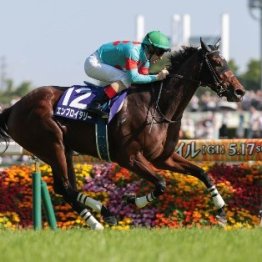 【ヴィクトリアマイル】ＧⅠ３勝目エンブロイダリーが歩む名牝の道