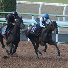 【ダービー１週前】ロブチェン１週前の時点で態勢整う