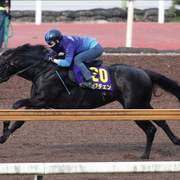 【ダービー１週前】ロブチェン１週前の時点で態勢整う