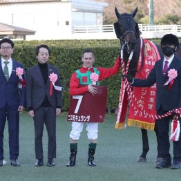 〈122〉騎手から助手を経て調教師に 個性派コスモキュランダを管理する加藤士津八調教師（３）