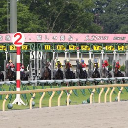 【オークス】３年前、樫の舞台から始まった競馬ファンの〝世界一のマナー〟
