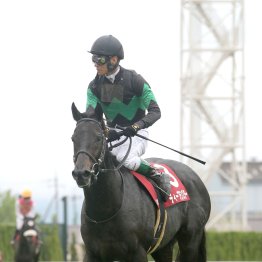 【香港・チャンピオンズ＆チャターＣ】ディープモンスターが世界の賞金王に挑戦