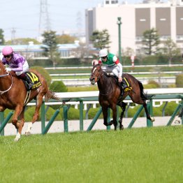【オークス】今村ジュウリョクピエロ　歴史の１ページに名を刻むか