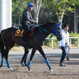 【オークス】豪腕レーンとぴったり　ラフターラインズ末脚一閃