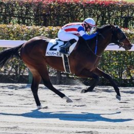 【木津の土曜競馬コラム・新潟12Ｒ】