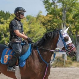【大谷の土曜競馬コラム・平安Ｓ】