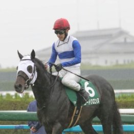 【武田の土曜競馬コラム・平安Ｓ】