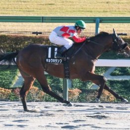 【橘の土曜競馬コラム・平安Ｓ】