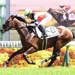 【東京本紙・外山の土曜東京10Ｒ】