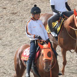 【オークス】出走全馬の特選情報