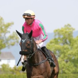 【市川の日曜競馬コラム・オークス】