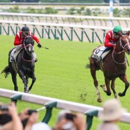 【木津の日曜競馬コラム・韋駄天Ｓ】