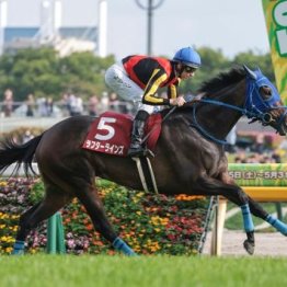 【武田の日曜競馬コラム・オークス】