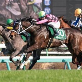 【橘の日曜競馬コラム・オークス】