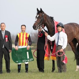 【オークス】ドリームコア左回り＆ルメール継続騎乗で桜の汚名返上だ