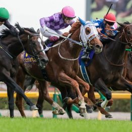 【オークス】今村ジュウリョクピエロが歴史的V