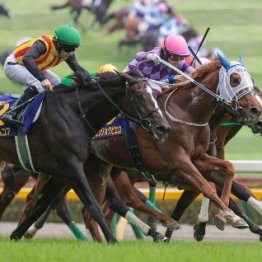 【オークス】ジュウリョクピエロ驚異の末脚で戴冠