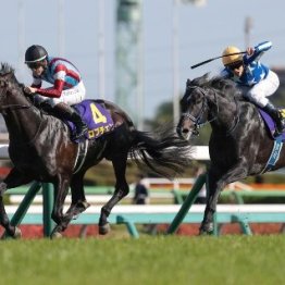 【日本ダービー】世はまさに種牡馬戦国時代
