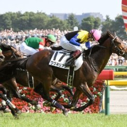 【日本ダービー・８紙合同特別企画　君は、何世代？】２０１８年ワグネリアン世代