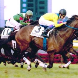 【日本ダービー・８紙合同特別企画　君は、何世代？】２００２年タニノギムレット世代