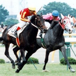 【日本ダービー・８紙合同特別企画　君は、何世代？】１９９３年ウイニングチケット世代