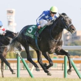 【日本ダービー】リアライズシリウス得意舞台で勝つ