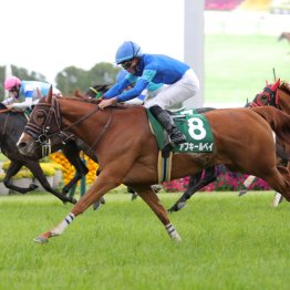 【葵Ｓ】上位人気、伏兵を問わず今年も牝馬を要チェック