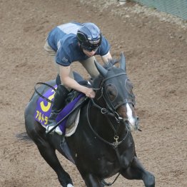 【日本ダービー】調教マル得チェック②