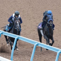 【日本ダービー】調教マル得チェック①