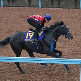 【日本ダービー】調教マル得チェック①