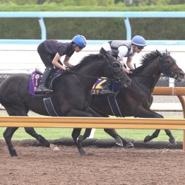 【日本ダービー】調教マル得チェック①