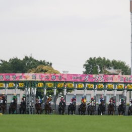 【日本ダービー】かつては１枠有利と言われたが、今はそれはウソ！？